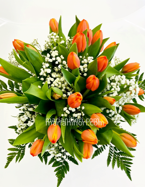 Bouquet di Tulipani Olanda
