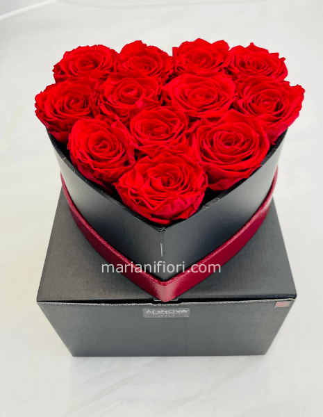 Box a forma di cuore con 12 rose rosse GRANDI stabilizzate