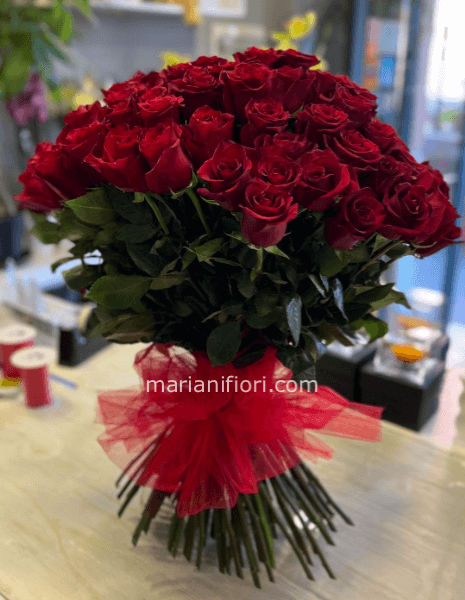 100 ROSE ROSSE A GAMBO LUNGO