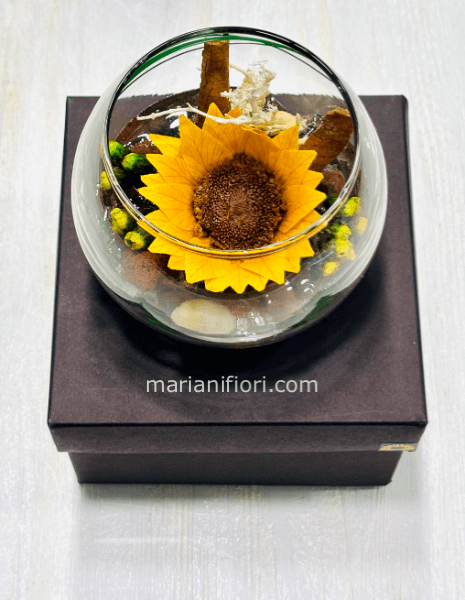 Girasole stabilizzato in vetro D10cm