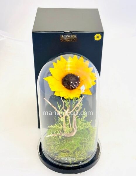 Girsasole Stabilizzato e vegetazione formato grande.35CM