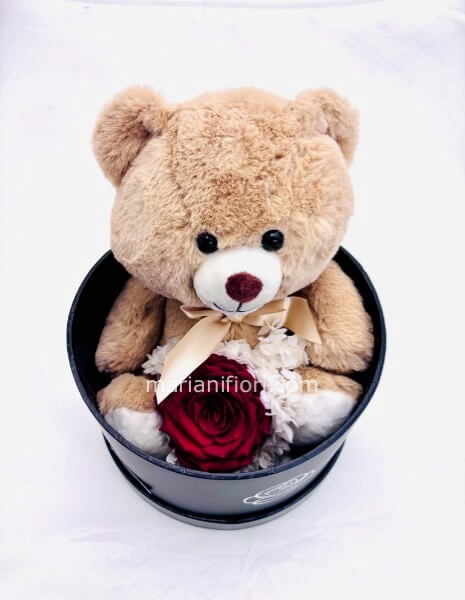 ORSO TRUDI GRADE E ROSA STABILIZZATA